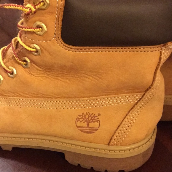 Timberlands - Picture 5 of 7